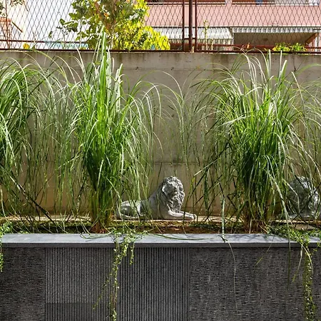 Mare's 2 Апартаменты