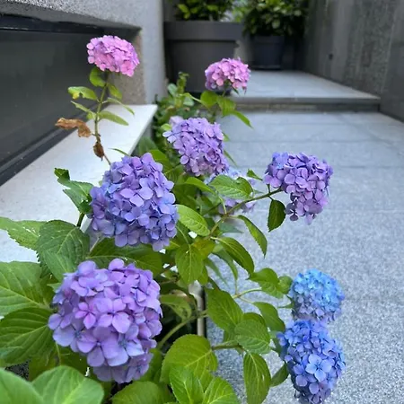 Mare's 2 Апартаменты *