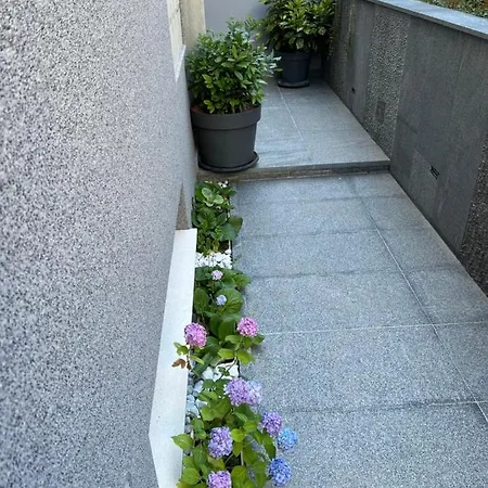 Mare's 2 * ספליט