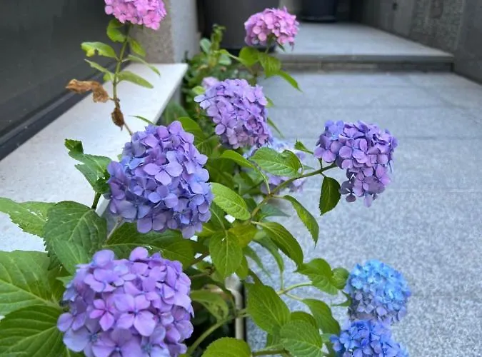 Mare's 2 Apartament *