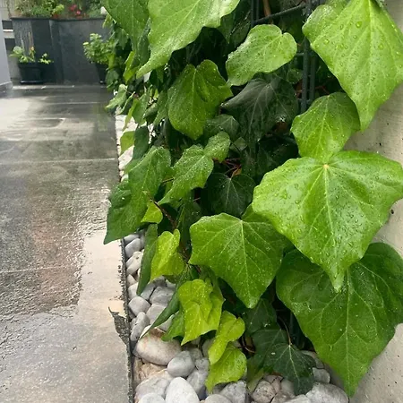 Mare's 2 アパート